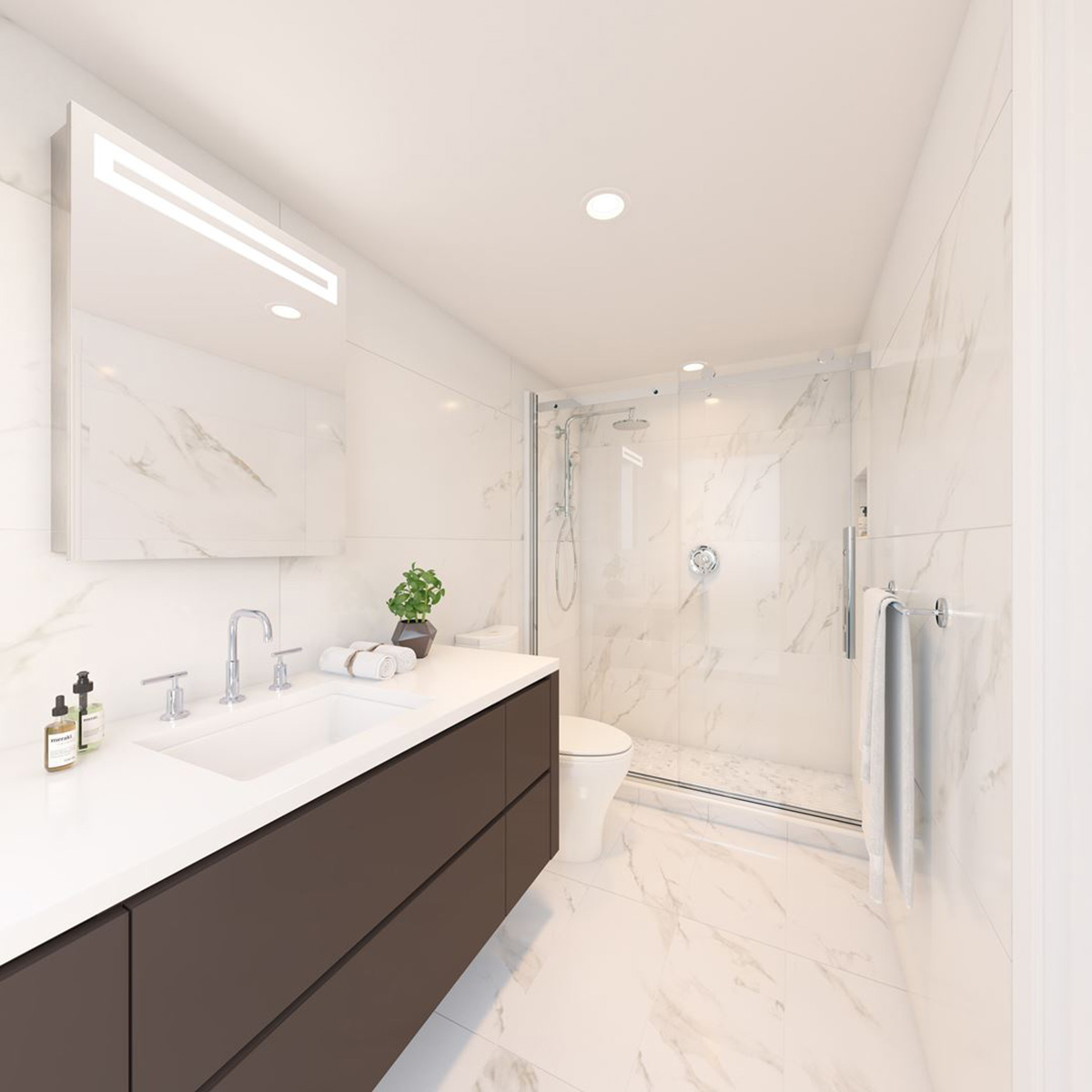 The Arbutus 9