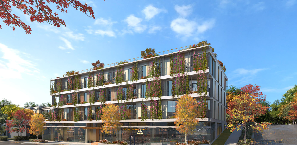 The Arbutus 3